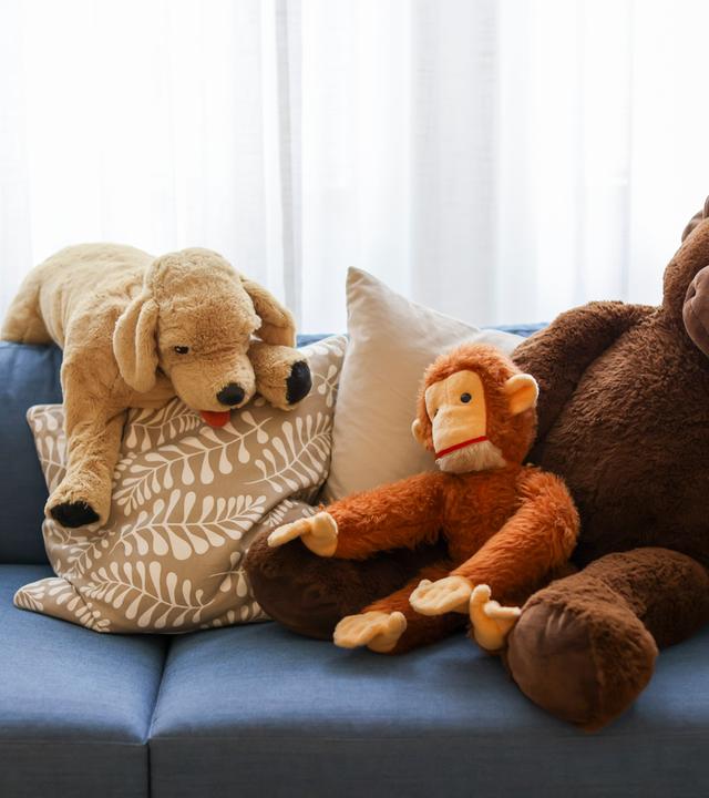 Kuscheltiere als Symbolbild