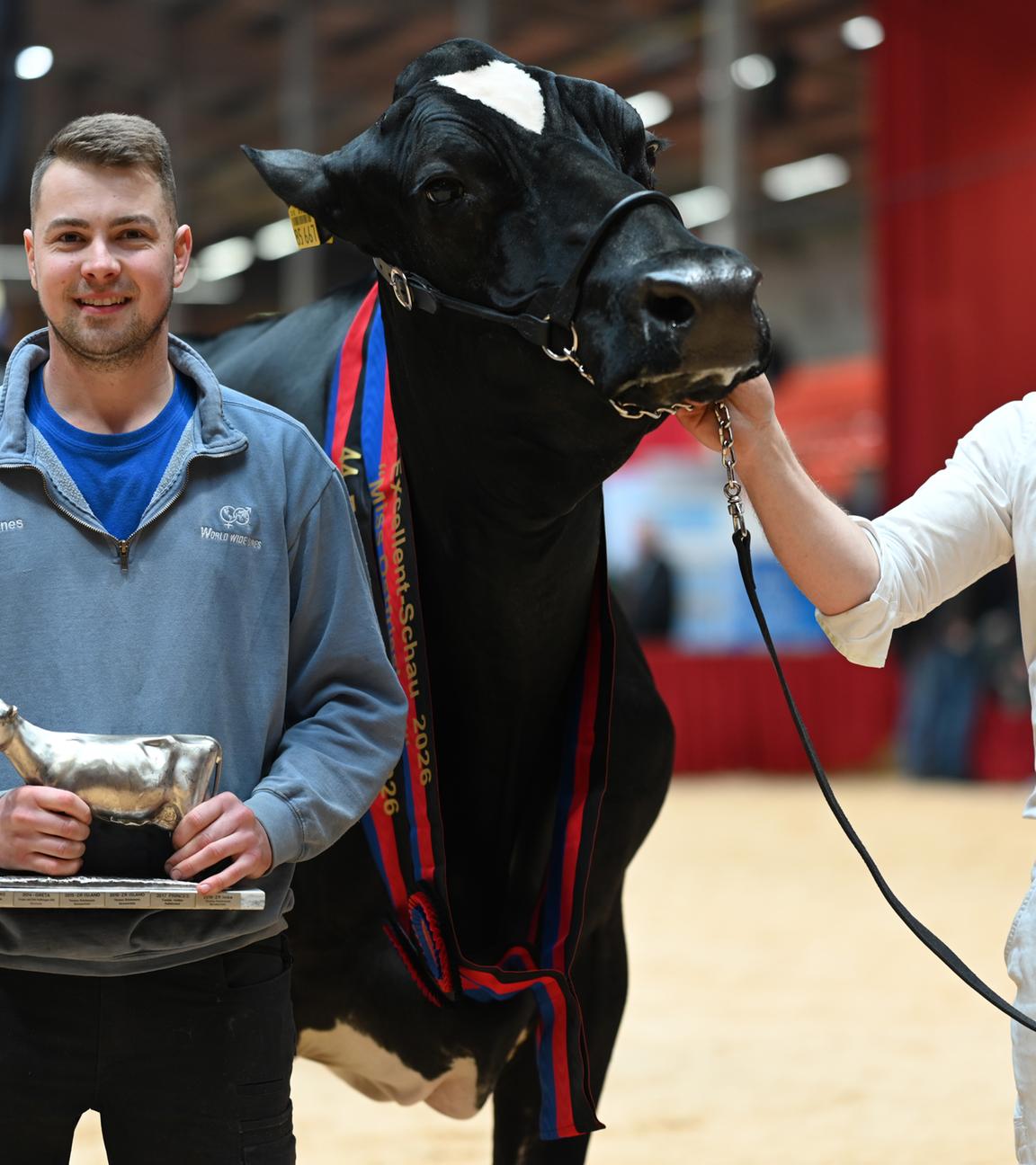 Ostfrieslands schönste Kuh