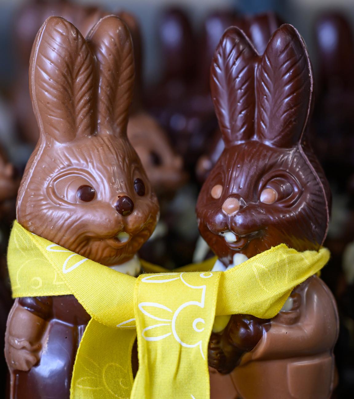 Wenn der Schokoladenosterhase Hochbetrieb hat