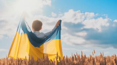 Glücklicher kleiner Junge ukrainische Patriot Kind mit nationaler Flagge auf Weizen Hintergrund. Ukraine, Frieden, Unabhängigkei