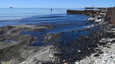 Ölteppich im  Schwarzen Meer: Reinigungsarbeiten am Strand von Tuapse