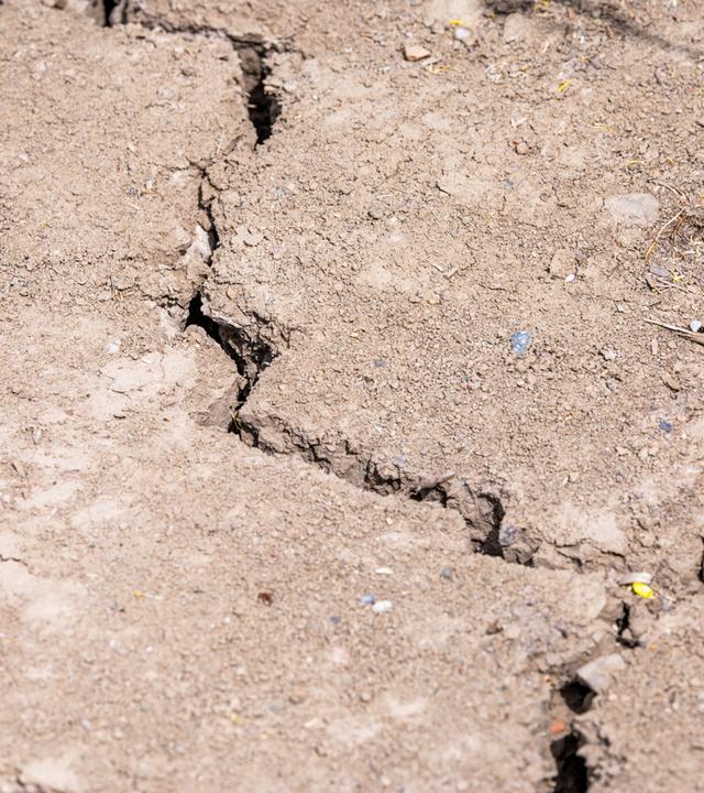 Trockenheit