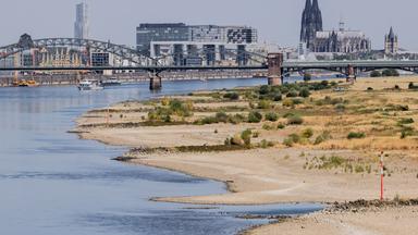 Niedrigwasser am Rhein