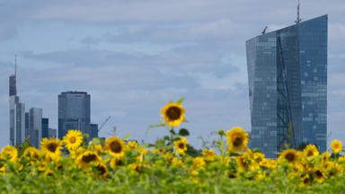 European Central Bank Governing Council meeting in Frankfurt