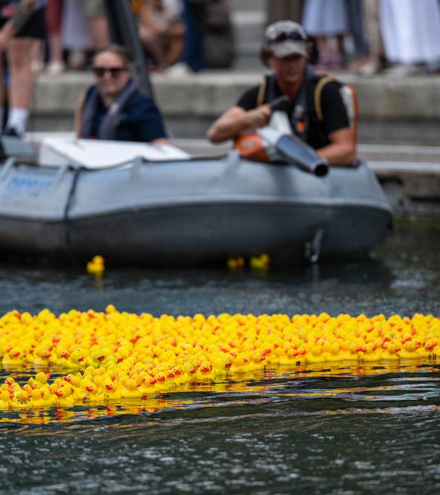 Wohltätigkeits-Gummientenrennen in London