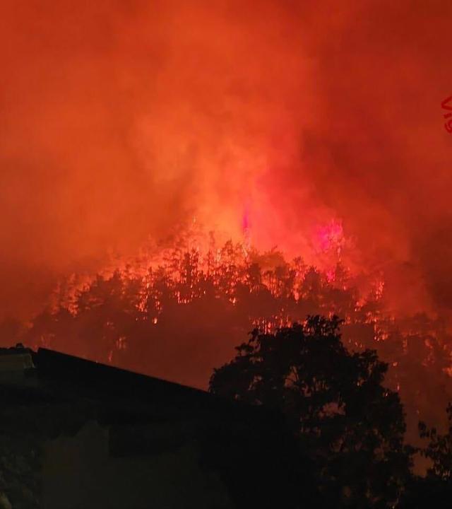 Waldbrand am Gardasee