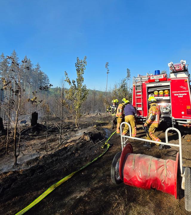 Waldbrand bei Plauen