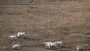 Paris stützt Landwirte nach Dürresommer mit Milliardenhilfe