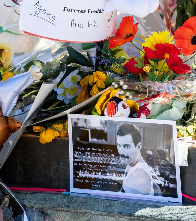 Freddie Days marks Freddie Mercury's 80th birth anniversary