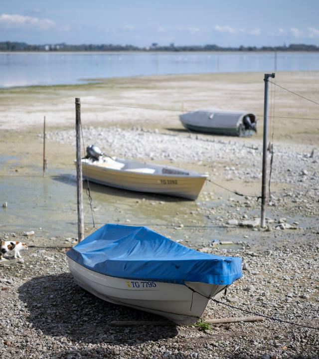 Niedrigwasser am Bodensee