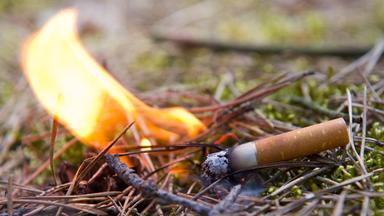 waldbrandgefahr durch brennende zigarette
