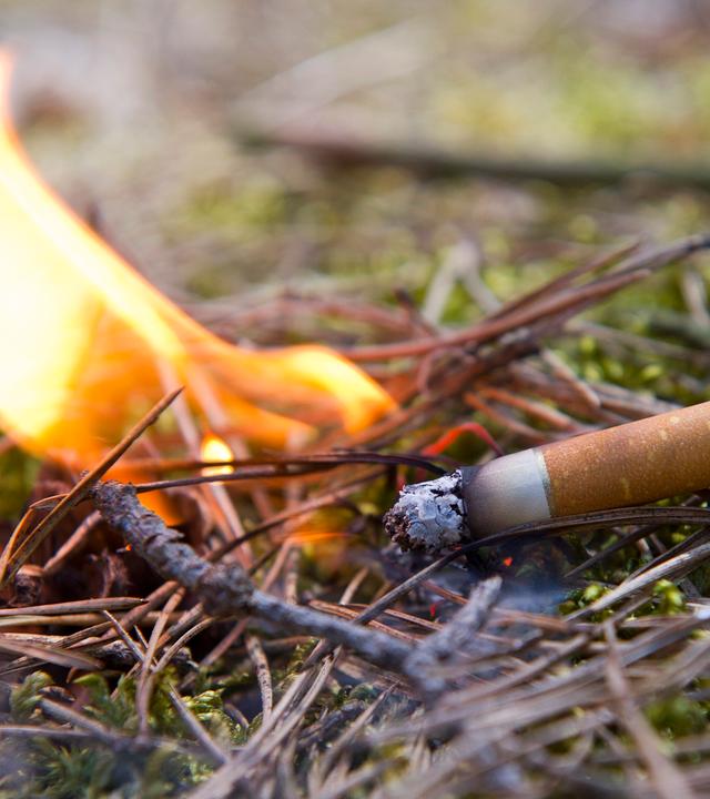 waldbrandgefahr durch brennende zigarette