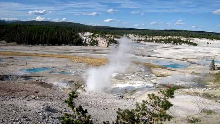 Geysir im Yellowstone-Nationalpark