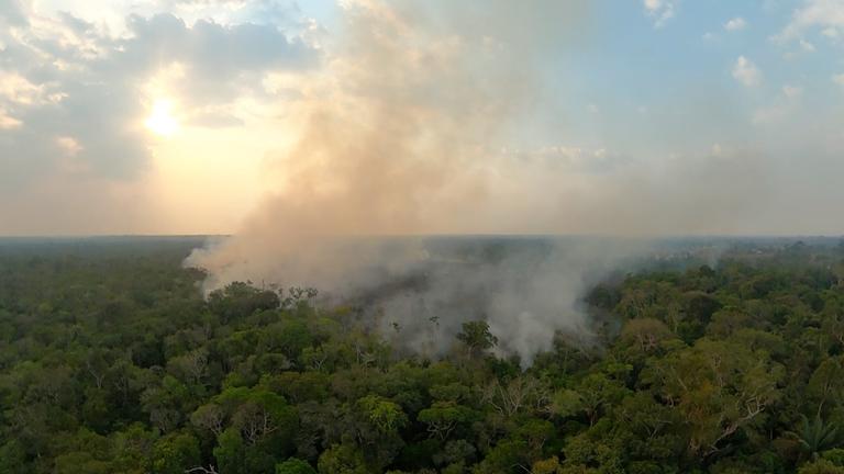Luftaufnahme eines Waldbrands im Amazonasgebiet. Rauch steigt über einem dichten Wald auf, die Baumkronen sind teilweise von Flammen und Rauch verdeckt