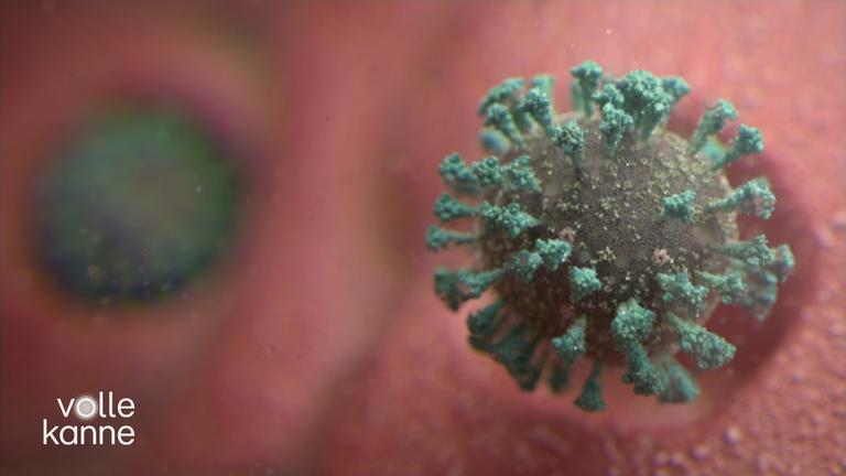 Aktuelle Corona-Lage