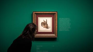 Albertina Museum Wien, Albrecht Dürer
