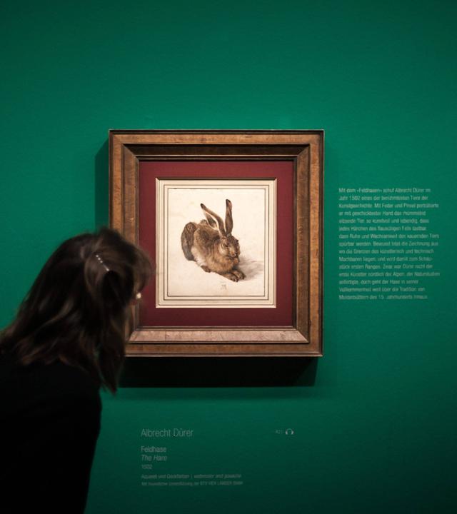Albertina Museum Wien, Albrecht Dürer