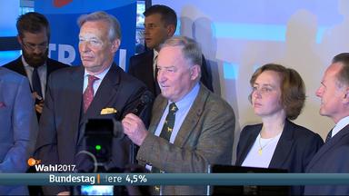 AfD-Spitzenkandidat Alexander Gauland