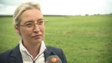 Alice Weidel