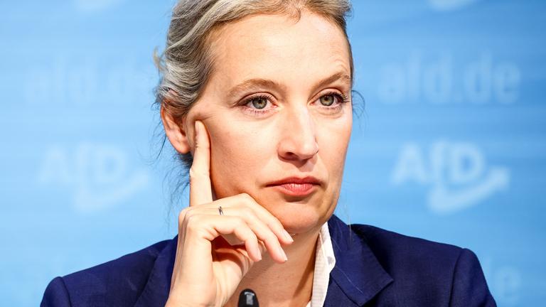 Alice Weidel (AfD)