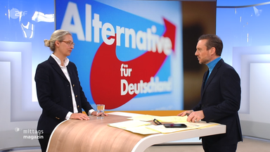 alice-weidel