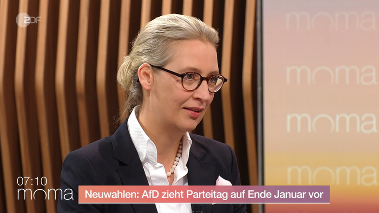 alice-weidel