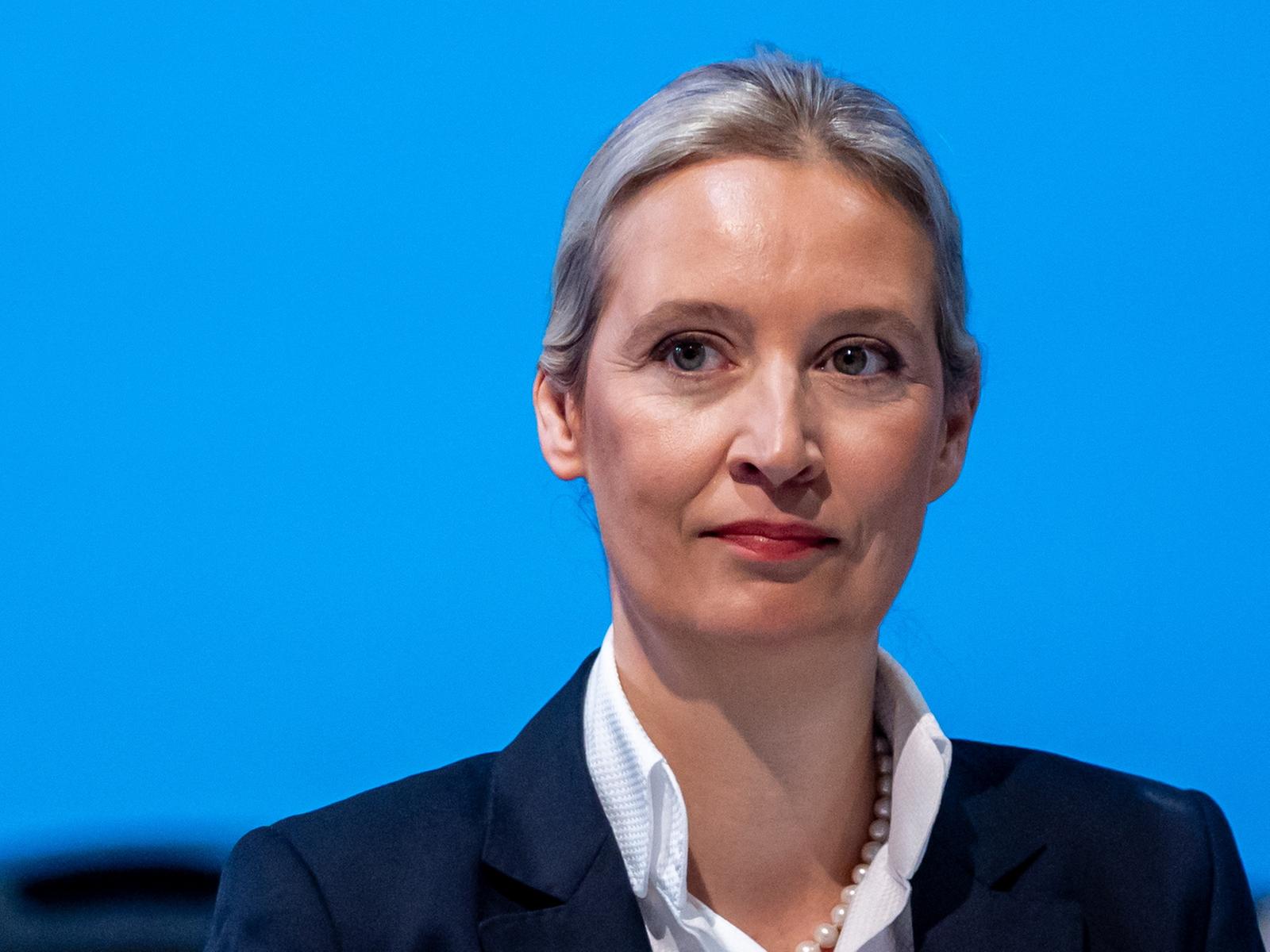 Offener Brief an Merz: Weidel macht Angebot zu Asylpolitik