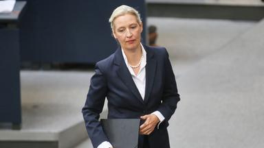 Trotz hoher Umfragewerte: AfD-Chefin Weidel unter Druck