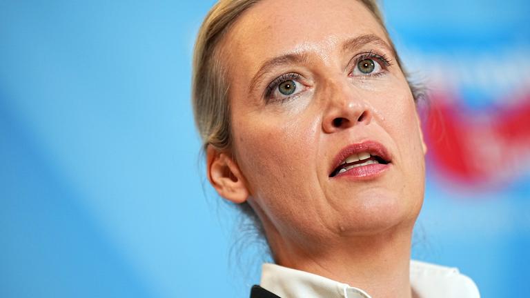Alice Weidel, Co-Vorsitzende der AfD-Bundestagsfraktion vor einem AfD-Logo.