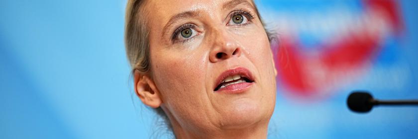 Alice Weidel, Co-Vorsitzende der AfD-Bundestagsfraktion vor einem AfD-Logo.