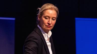 Alice Weidel (AfD)