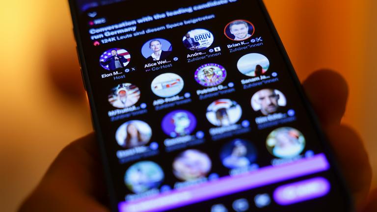 Alice Weidel im Gespräch mit Elon Musk, zu sehen in der X-App