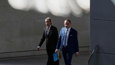 Politik-Experte Korte: 