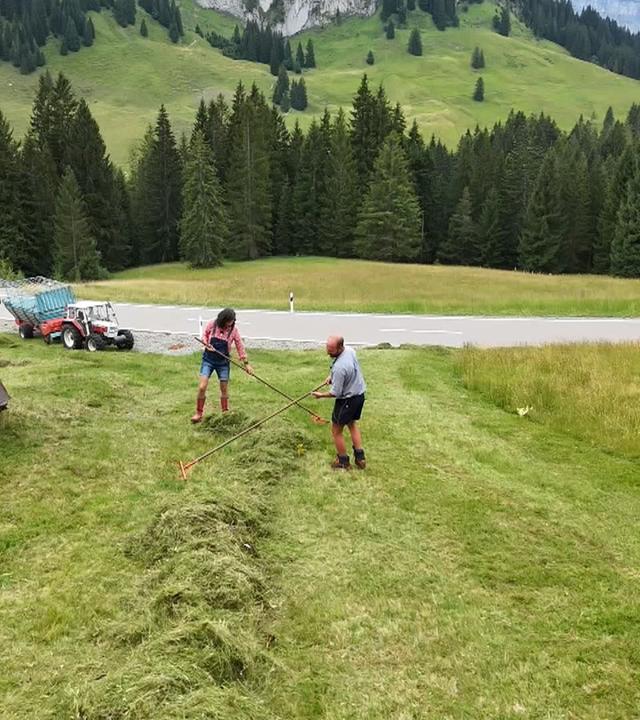 Zwei Personen kehren das Heu zusammen auf einer Wiese in den Bergen