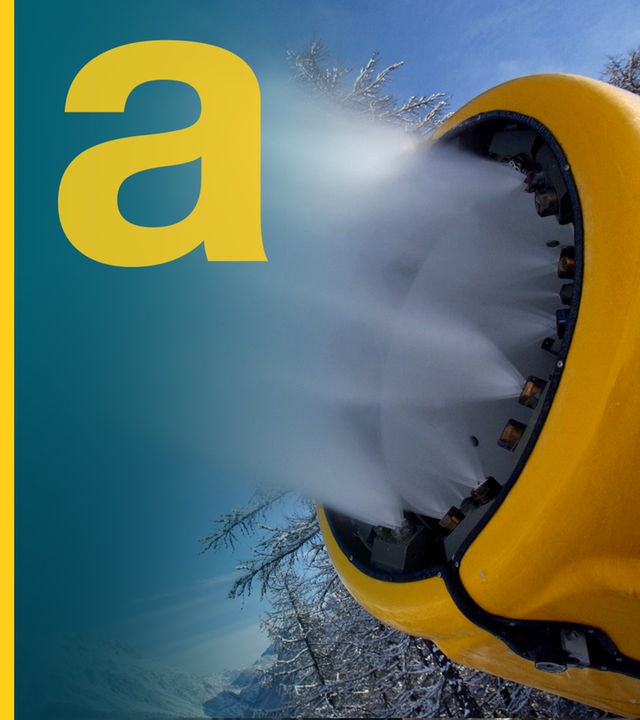 Auf dem Bild ist das Auslandsjournallogo zu sehen und eine Schneekanone.