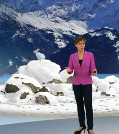 3D-Studio, 3D-Grafik,Gebirge,Schneehasen,Schnee,Katja Horneffer