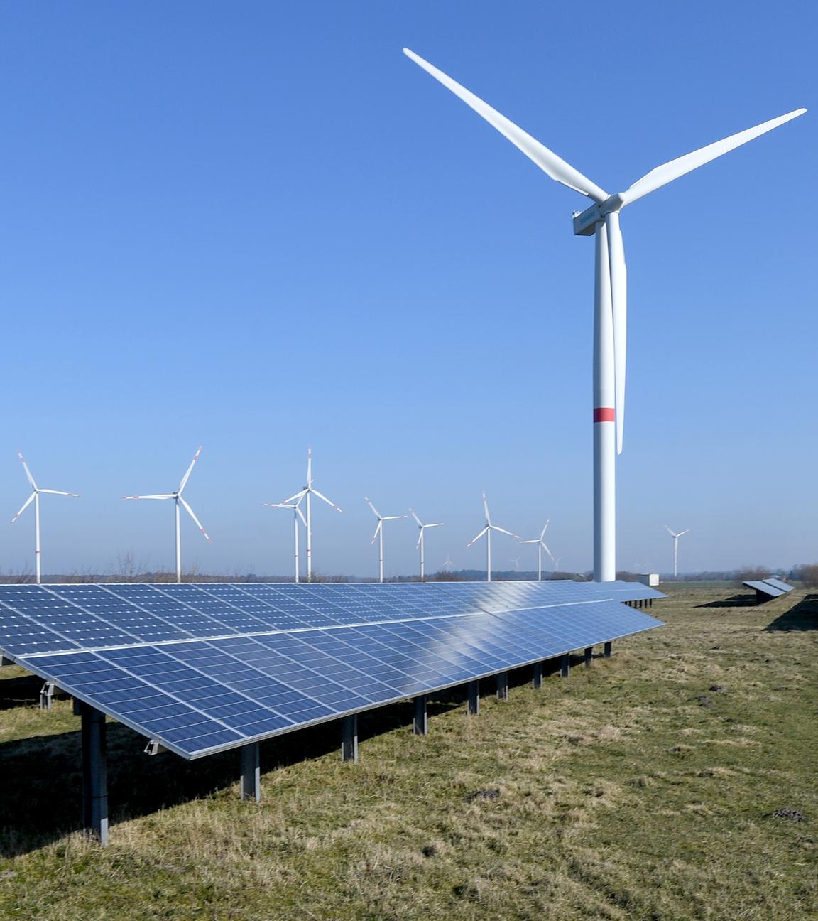 Windkraftanlagen stehen hinter einer Solarstrom-Freiflächenanlage im Solarpark Klixbuell (Schleswig-Holstein), aufgenommen am 7.02.2019