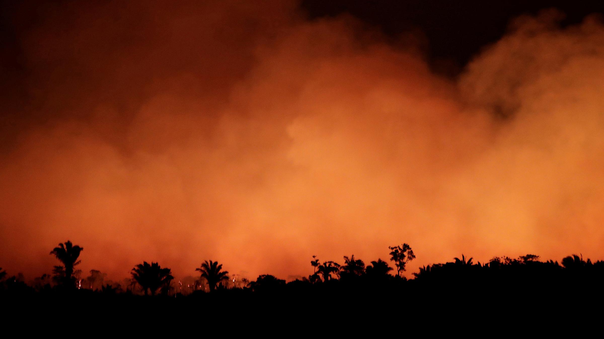 Waldbrände im Amazonas-Regenwald