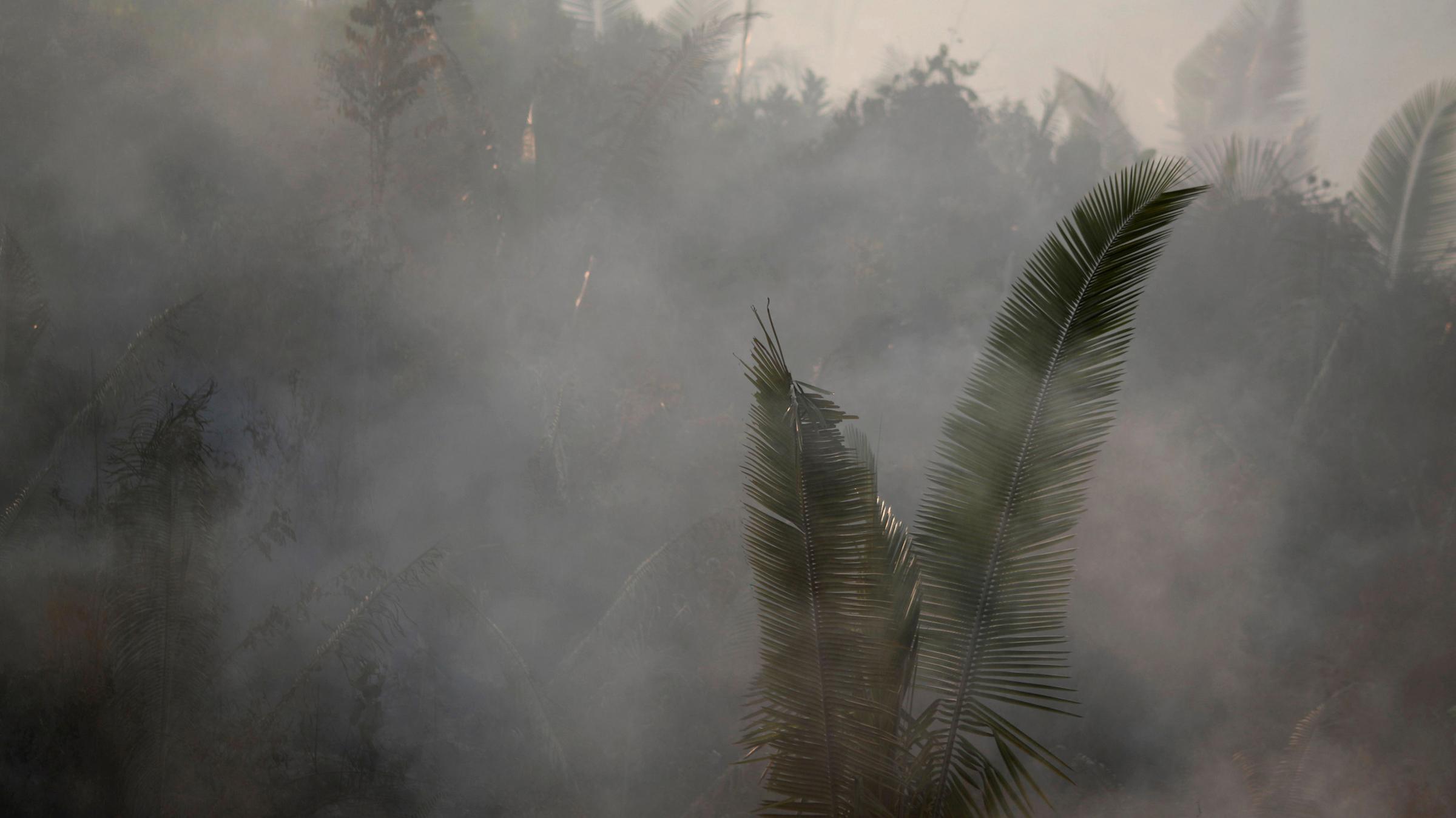 Waldbrände im Amazonas-Regenwald