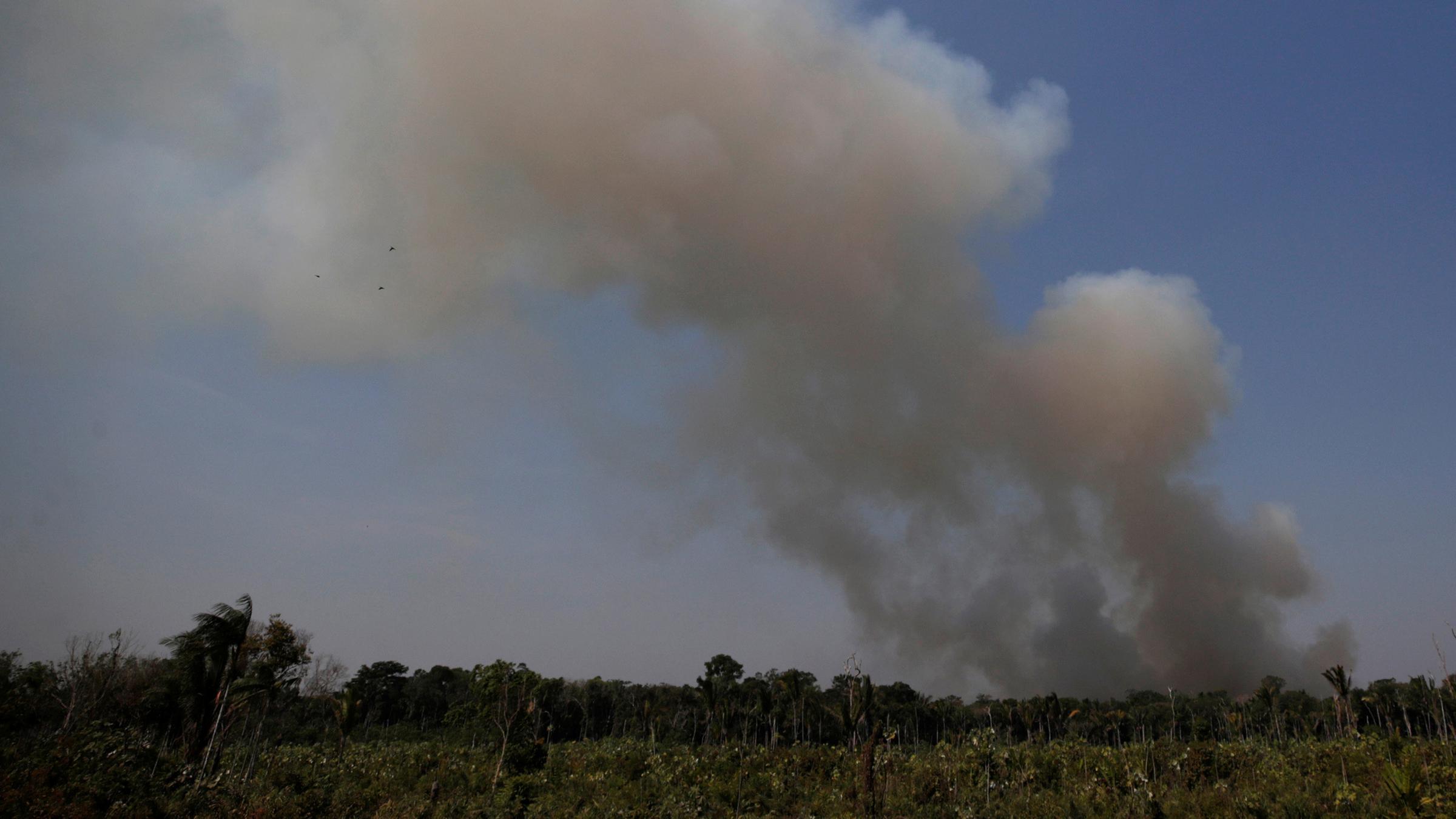 Waldbrände im Amazonas-Regenwald