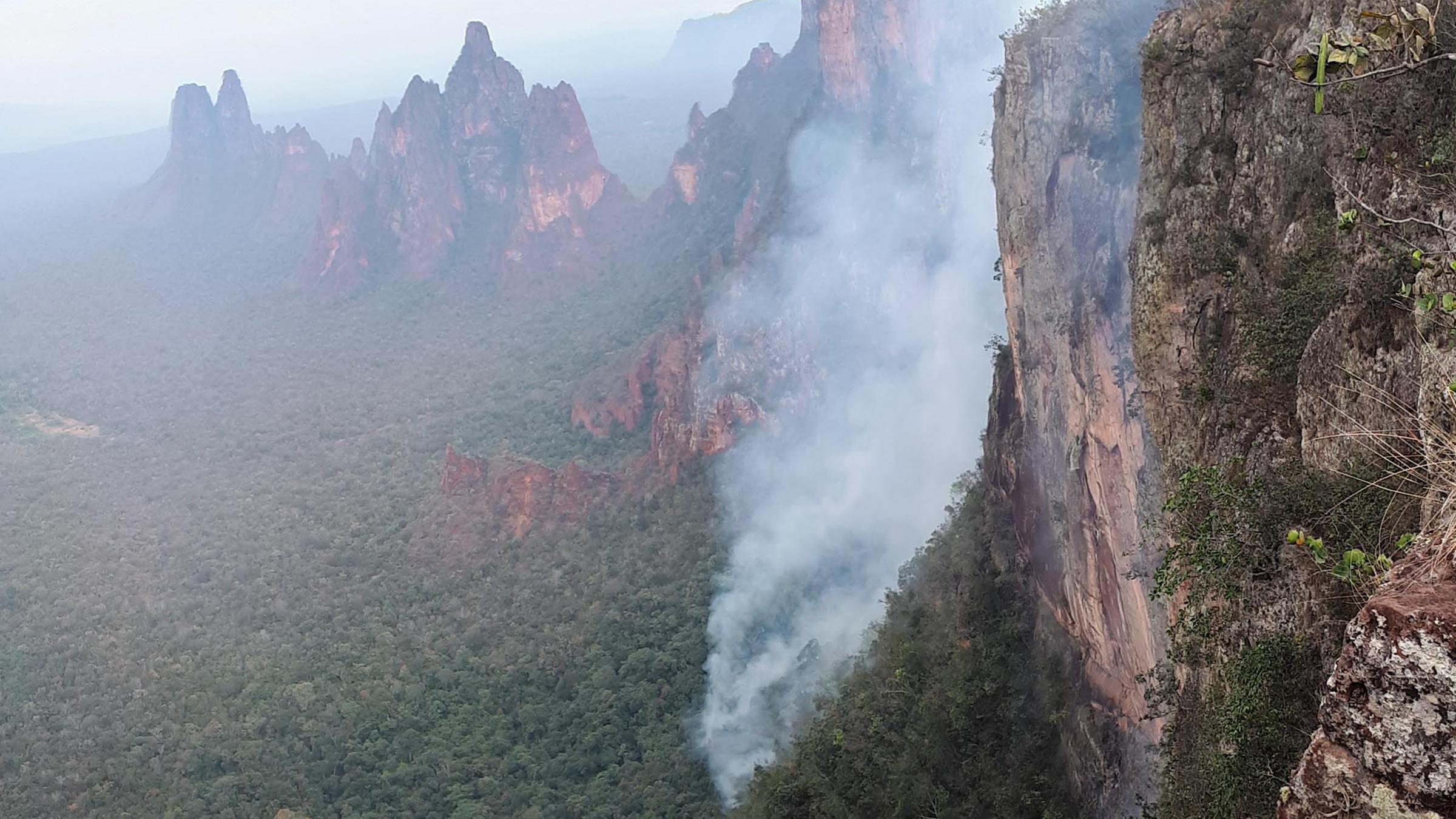 Waldbrände im Amazonas-Regenwald