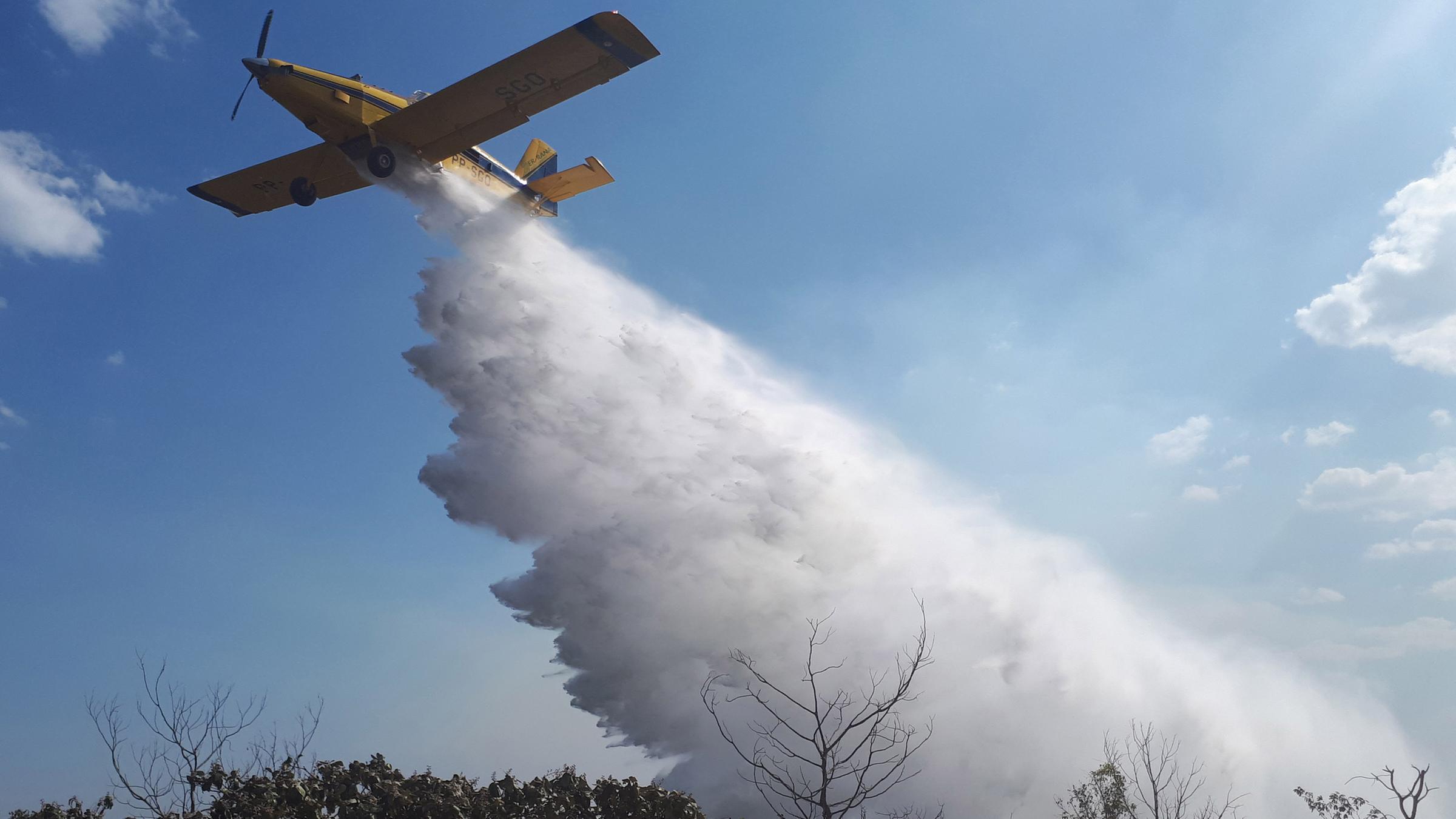 Waldbrände im Amazonas-Regenwald