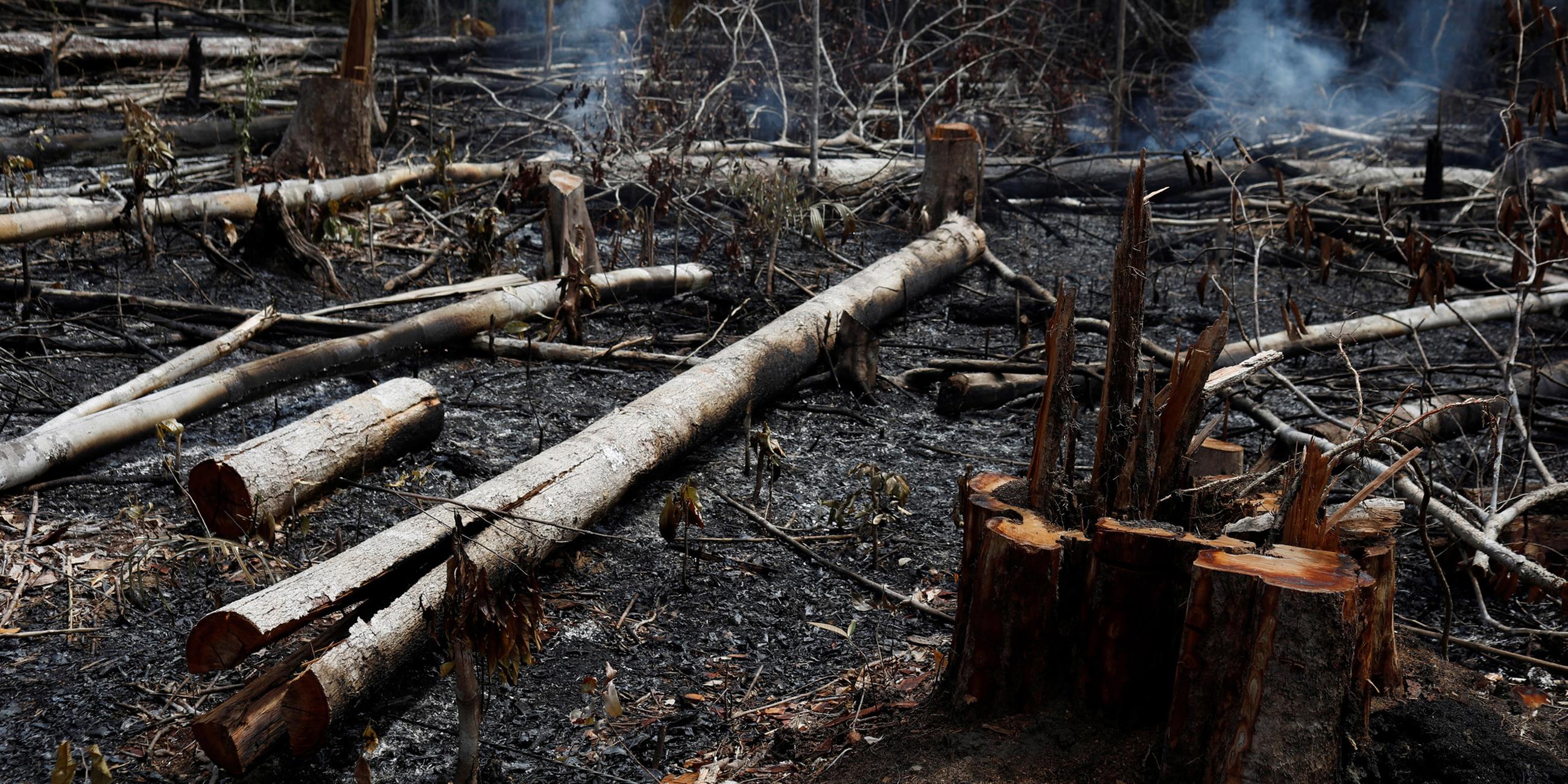 Waldbrände im Amazonas-Regenwald
