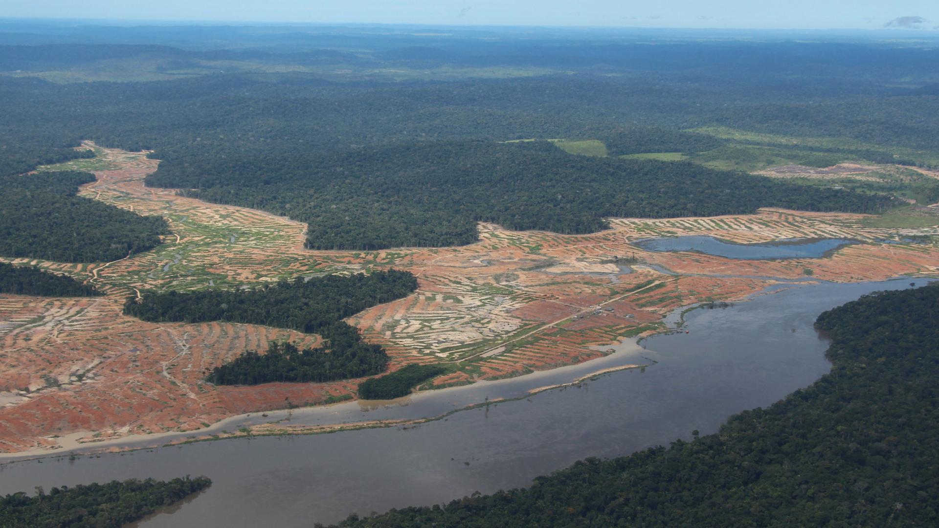 Symbolbild: Abgeholzte Flächen im Amazonas-Regenwald in Brasilien