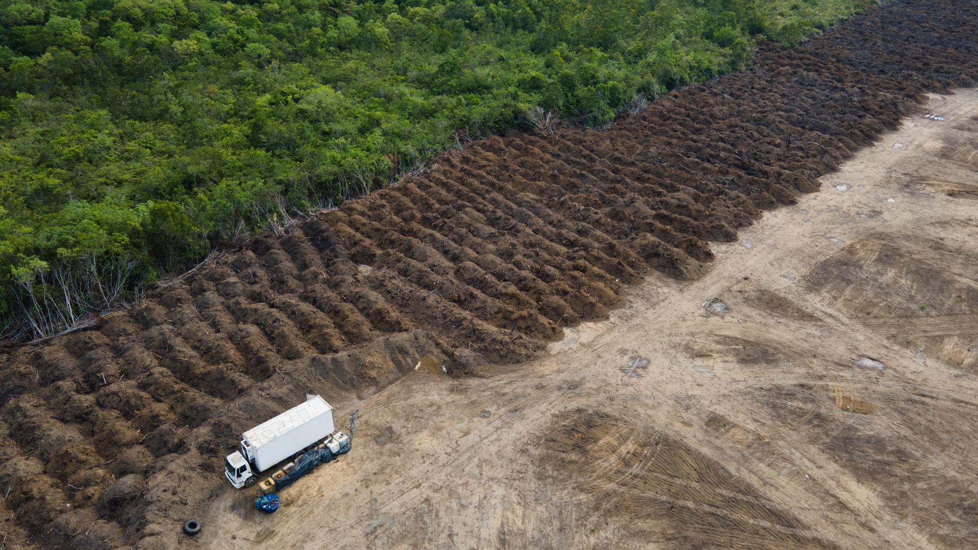 Ein Lastwagen steht in einem abgeholzten Gebiet des Amazonas-Regenwaldes.