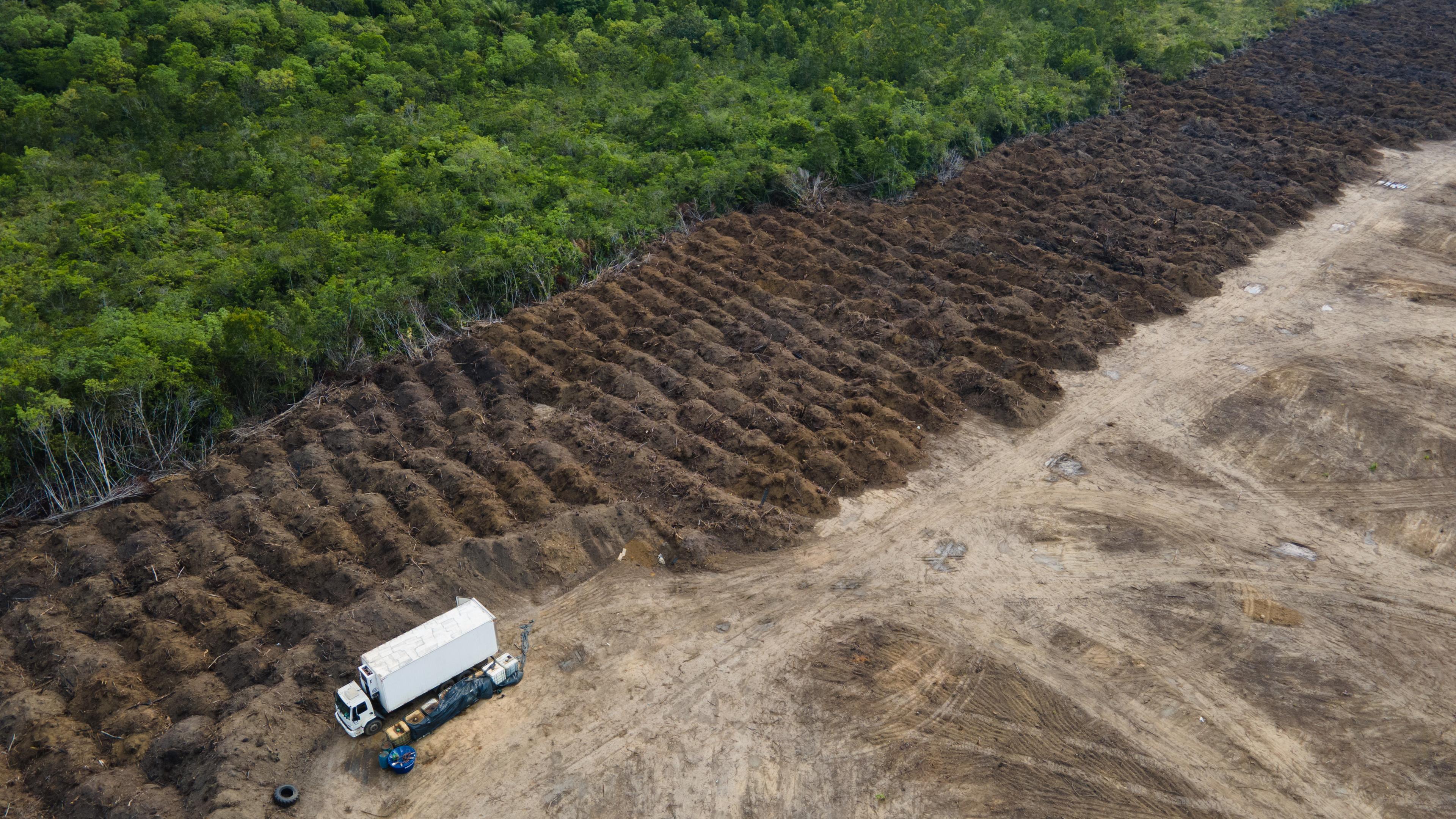 Ein Lastwagen steht in einem abgeholzten Gebiet des Amazonas-Regenwaldes.
