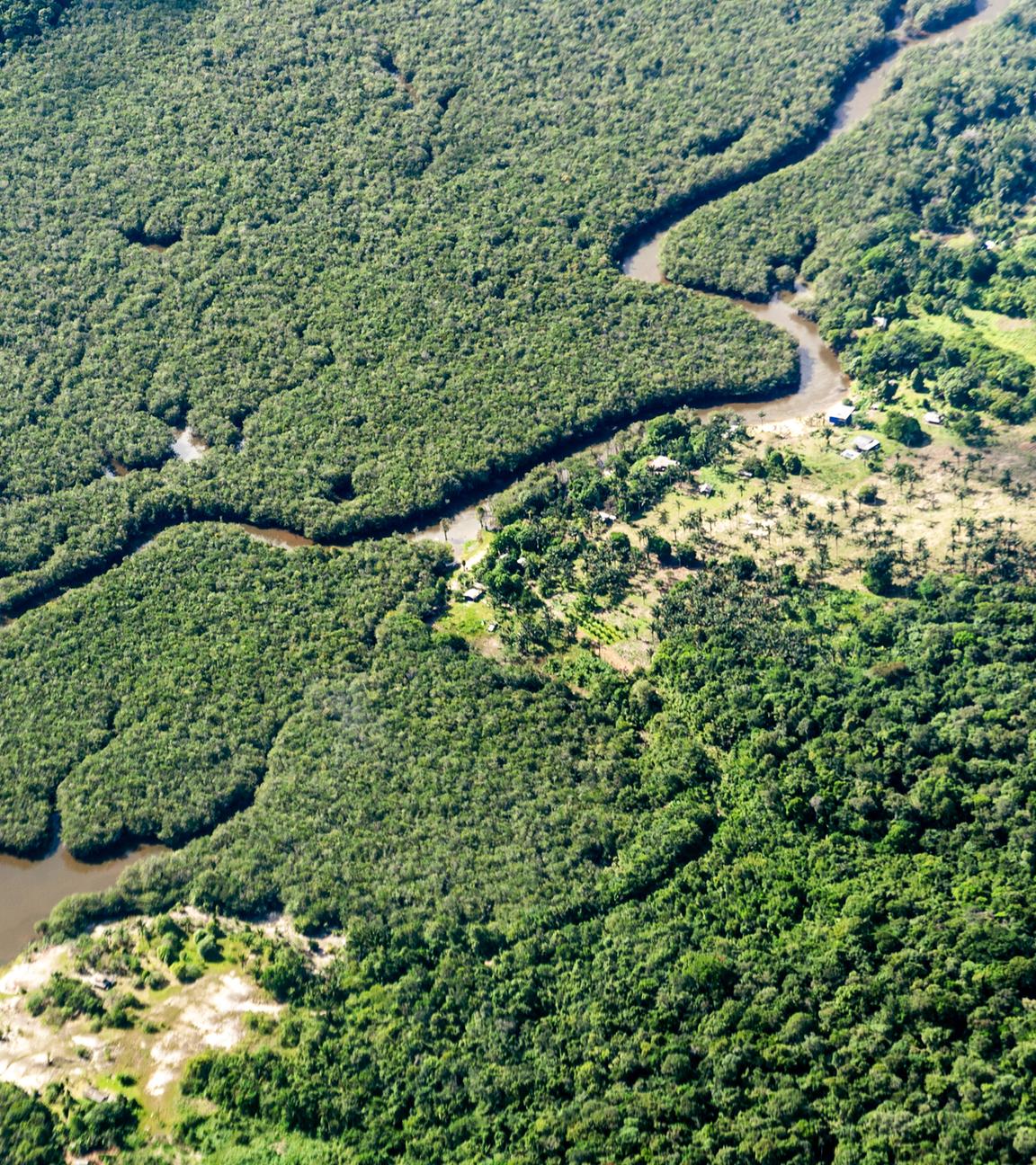 Luftaufnahme des Amazonas-Fluss und -Regenwald.