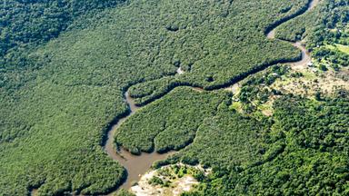 Luftaufnahme des Amazonas-Fluss und -Regenwald.