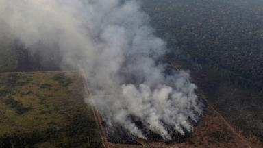 Archiv, Brasilien, Porto Velho: Flächenbrand im Regenwald von Amazonas.