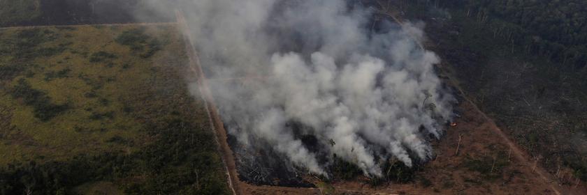 Archiv, Brasilien, Porto Velho: Flächenbrand im Regenwald von Amazonas.